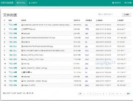彩虹外链网盘-开源大容量云存储服务 可生成任何文件外链